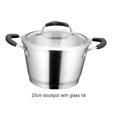 20CM STOCKPOT WITH GLASS LID